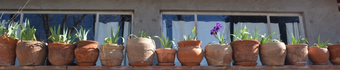 A row of pots at a private home